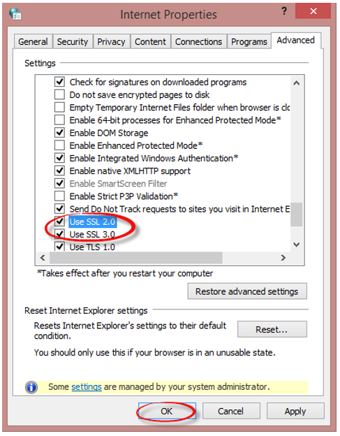 3032646_05_Internet properties box advanced Use SSL options