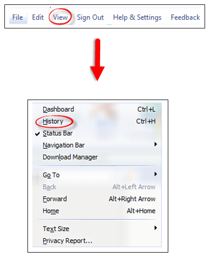 3033856_04_View menu and history in drop down