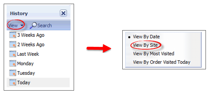 3033856_05_History menu to View by site option