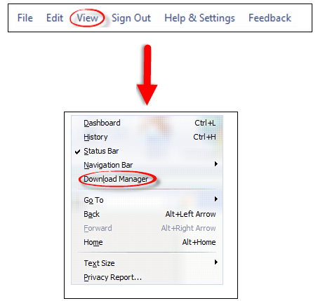 3033856_08_View menu and Download Manager in drop down